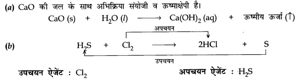 CBSE Sample Papers for Class 10 Science in Hindi Medium Paper 1 Qu7.1