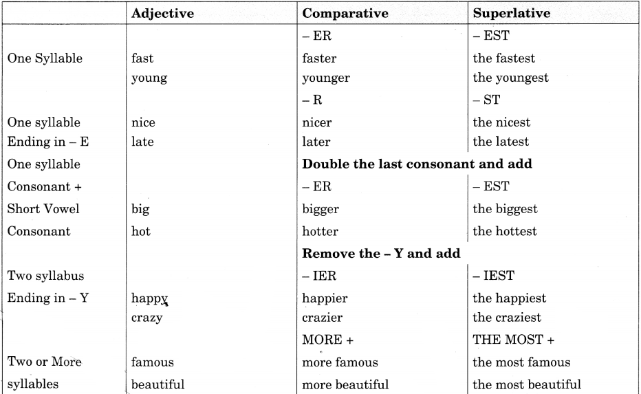 Adjective Class 8 Exercise