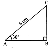 ML Aggarwal Class 10 Solutions for ICSE Maths Chapter 20 Heights and Distances MCQS Q1.1
