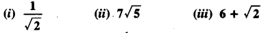 NCERT Solutions for Class 10 Maths Chapter 1 Real Numbers Ex 1.3 2