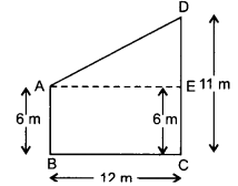 NCERT Solutions for Class 10 Maths Chapter 6 Triangles Ex 6.5 13