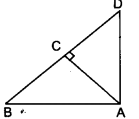 NCERT Solutions for Class 10 Maths Chapter 6 Triangles Ex 6.5 2