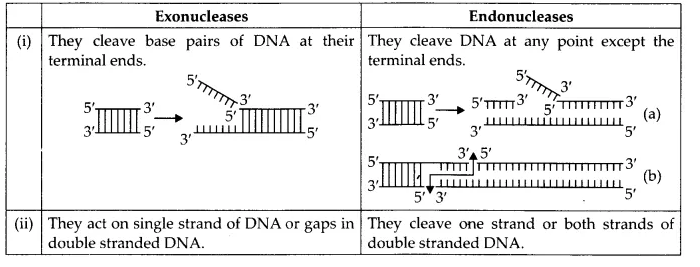 NCERT Solutions for Class 12 Biology Chapter 11 Biotechnology Principles and Processes Q12.1