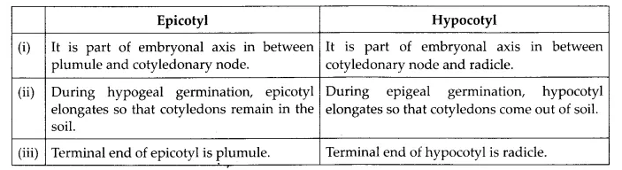 NCERT Solutions for Class 12 Biology Chapter 2 Sexual Reproduction in Flowering Plants Q13.1
