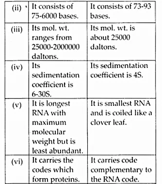 NCERT Solutions for Class 12 Biology Chapter 6 Molecular Basis of Inheritance Q8.6