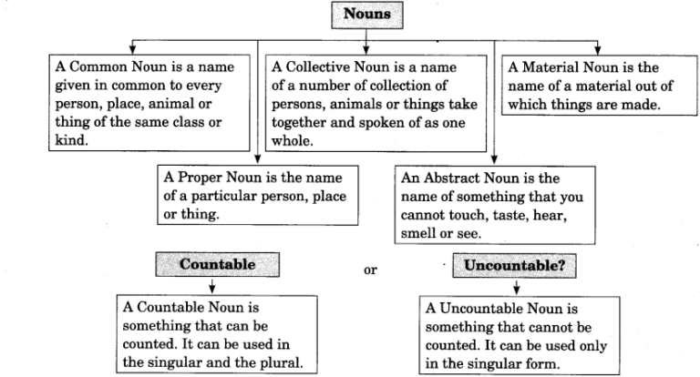 Noun Exercises For Class 8 Pdf