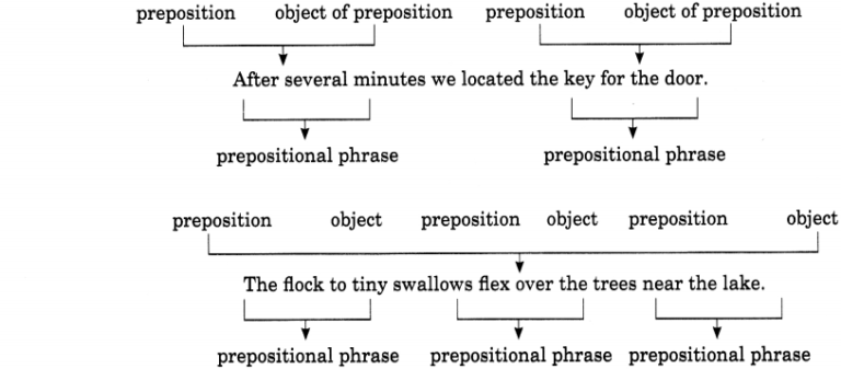 preposition-exercises-for-class-8-cbse-with-answers-ncert-mcq