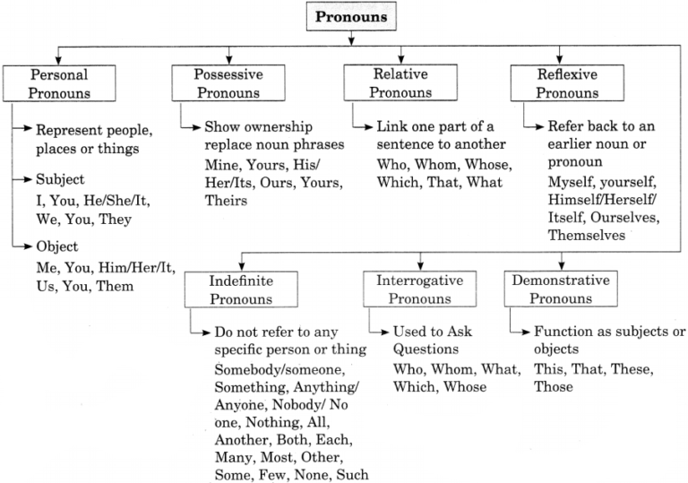 Online Education Pronoun Exercises For Class 8 CBSE With Answers 