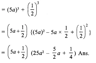 RS Aggarwal Class 9 Solutions Chapter 2 Polynomials Ex 2J 5