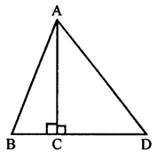 Selina Concise Mathematics Class 7 ICSE Solutions Chapter 16 Pythagoras Theorem Q9