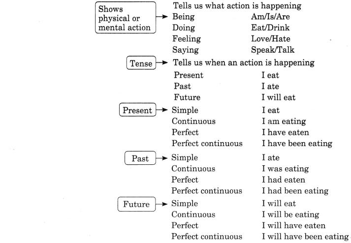 Online Education Subject Verb Agreement Exercises For Class 8 CBSE With 