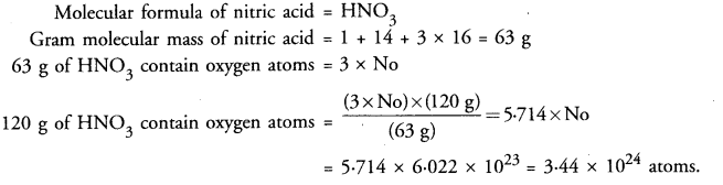 Atoms and Molecules Class 9 Important Questions Science Chapter 3 img 13