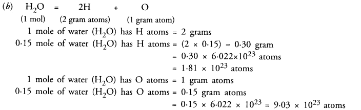 Atoms and Molecules Class 9 Important Questions Science Chapter 3 img 4
