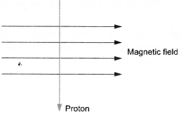 Magnetic Effects of Electric Current Class 10 Important Questions Science Chapter 13 image - 18