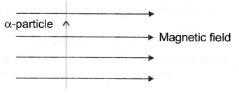 Magnetic Effects of Electric Current Class 10 Important Questions Science Chapter 13 image - 21
