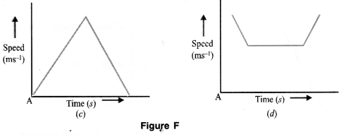 Motion Class 9 Important Questions Science Chapter 8 image - 12