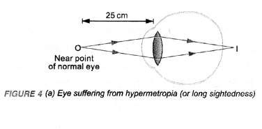 NCERT Exemplar Solutions for Class 10 Science Chapter 11 Human Eye and Colourful World image - 4