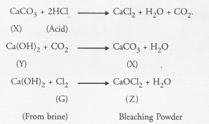 NCERT Exemplar Solutions for Class 10 Science Chapter 2 Acids, Bases and Salts image - 15