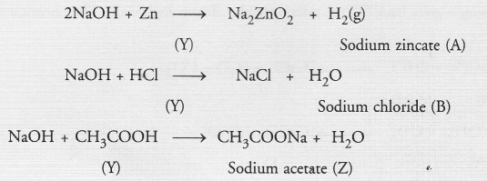 NCERT Exemplar Solutions for Class 10 Science Chapter 2 Acids, Bases and Salts image - 19