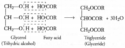 NCERT Exemplar Solutions for Class 10 Science Chapter 4 Carbon and Its Compounds image - 20