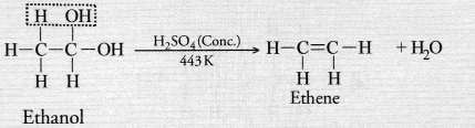 NCERT Exemplar Solutions for Class 10 Science Chapter 4 Carbon and Its Compounds image - 25