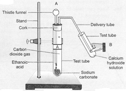 NCERT Exemplar Solutions for Class 10 Science Chapter 4 Carbon and Its Compounds image - 41
