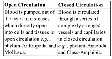NCERT Exemplar Solutions for Class 11 Biology Chapter 4 Animal Kingdom 1.4