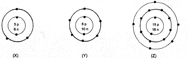 NCERT Exemplar Solutions for Class 9 Science Chapter 4 Structure of the Atom image - 5