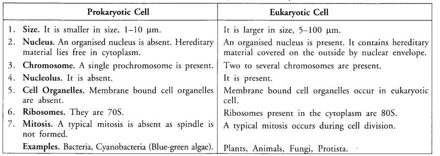 NCERT Exemplar Solutions for Class 9 Science Chapter 5 The Fundamental Unit of Life image -2