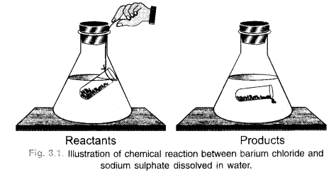 NCERT Solutions For Class 9 Science Chapter 3 Atoms and Molecules 27