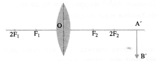NCERT Solutions for Class 10 Science Chapter 10 Light Reflection and Refraction image -19
