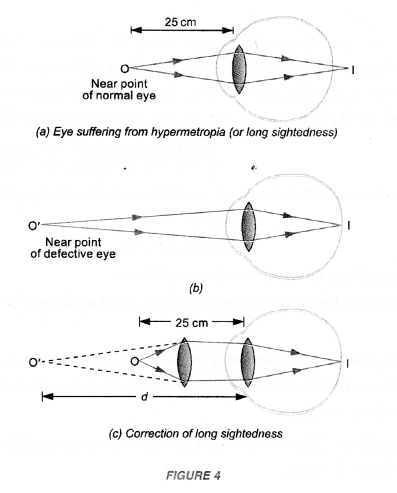 NCERT Solutions for Class 10 Science Chapter 11 Human Eye and Colourful World image - 4