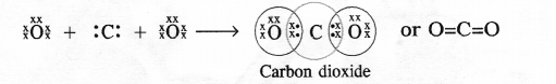 NCERT Solutions for Class 10 Science Chapter 4 Carbon and its Compounds image - 1