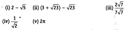 NCERT Solutions for Class 9 Maths Chapter 1 Number Systems Ex 1.5 img 1