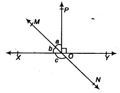 NCERT Solutions for Class 9 Maths Chapter 4 Lines and Angles Ex 4.1 img 2