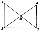 NCERT Solutions for Class 9 Maths Chapter 5 Triangles Ex 5.1 img 9