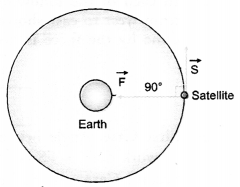 NCERT Solutions for Class 9 Science Chapter 11 Work, Power and Energy image - 6