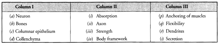 NCERT Solutions for Class 9 Science Chapter 6 Tissues image - 7