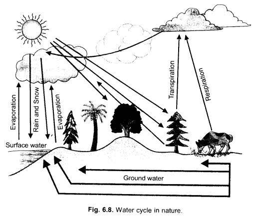 Natural Resources Class 9 Important Questions Science Chapter 14 image - 13