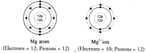 Structure of the Atom Class 9 Important Questions Science Chapter 4 image - 9