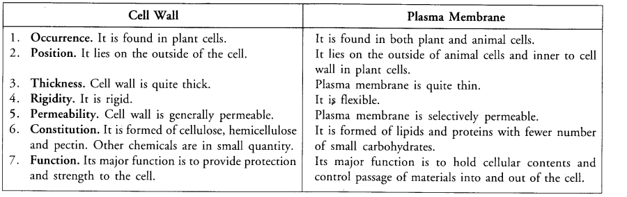 The Fundamental Unit of Life Class 9 Important Questions Science Chapter 5 image - 10
