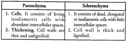 Tissues Class 9 Important Questions Science Chapter 6 image - 14