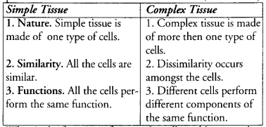 Tissues Class 9 Important Questions Science Chapter 6 image - 21