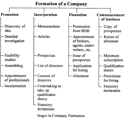 Business Studies Class 11 Important Questions Chapter 7 Formation of a Company 1