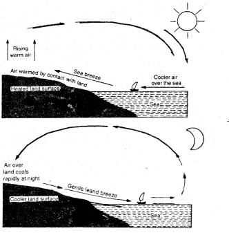 Class 11 Geography Important Questions Chapter 10 Atmospheric Circulation and Weather Systems im-3