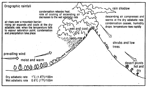 Class 11 Geography Important Questions Chapter 11 Water in the Atmosphere im-4