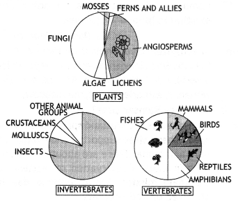 Class 12 Biology Important Questions Chapter 15 Biodiversity and Conservation 1
