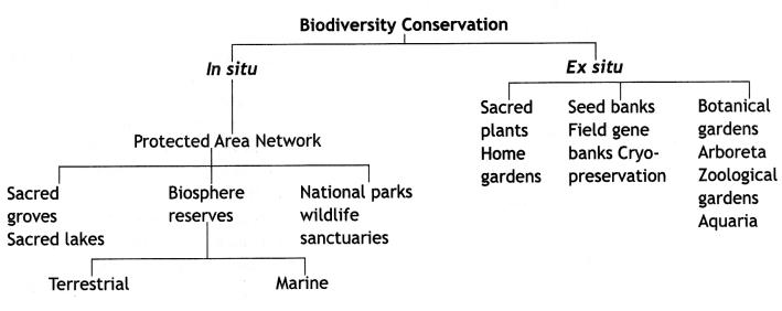 Class 12 Biology Important Questions Chapter 15 Biodiversity and Conservation 4