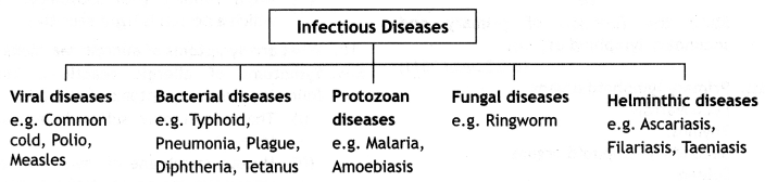 Class 12 Biology Important Questions Chapter 8 Human Health and Disease 1