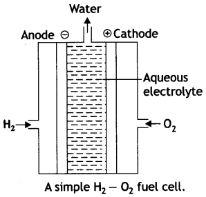 Class 12 Chemistry Important Questions Chapter 3 Electrochemistry 13